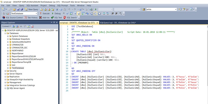 SQL Server'da Bir Tablonun Scriptini Almak