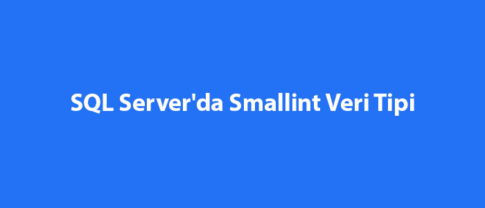 sql-server-da-smallint-veri-tipi-sql-server-e-itimleri