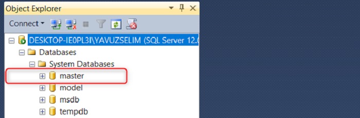 SQL Server’da Master Veritabanı