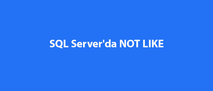 SQL Server'da NOT LIKE