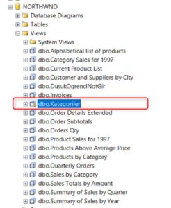 SQL Server’da View Kullanımı ve With Encryption – SQL Server Eğitimleri