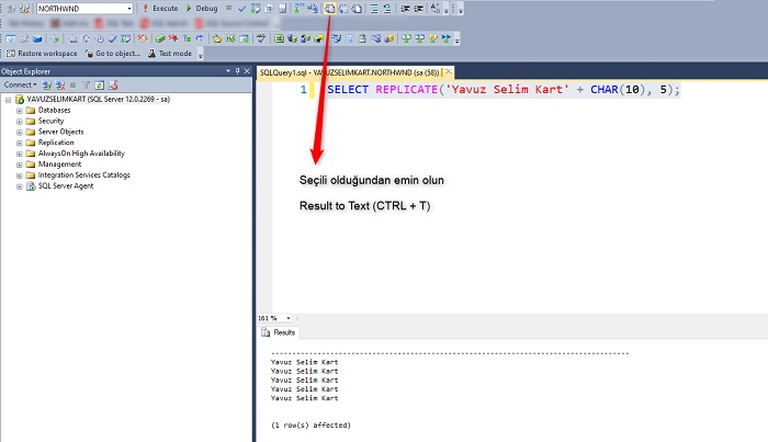 SQL Server’da Replicate Fonksiyonu Kullanarak Ad Soyadı Belirtilen Sayı Kadar Yazdırmak