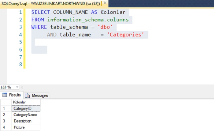 SQL Server’da Seçili Tablonun Kolonlarını Göstermek