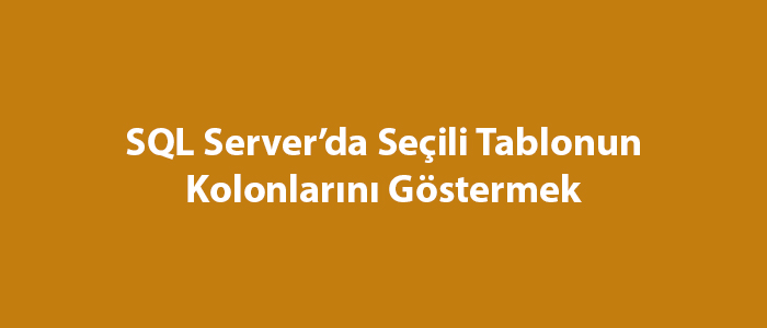 SQL Server’da Seçili Tablonun Kolonlarını Göstermek