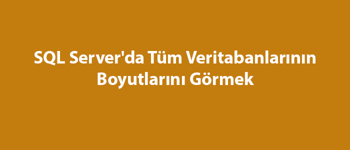 SQL Server'da Tüm Veritabanlarının Boyutlarını Görmek