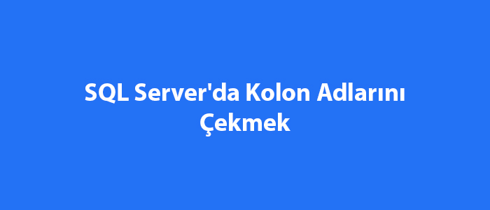 SQL Server’da Kolon Adlarını Çekmek