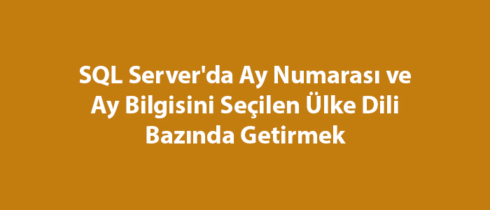 SQL Server’da Ay Numarası ve Ay Bilgisini Seçilen Ülke Dili Bazında Getirmek