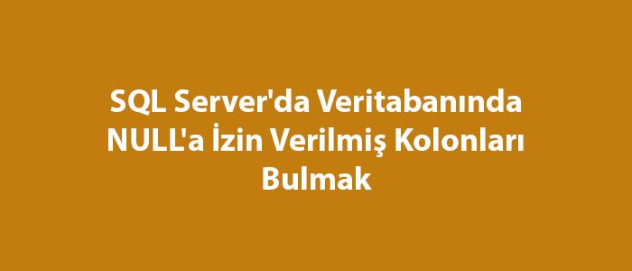 SQL Server'da Veritabanında NULL'a İzin Verilmiş Kolonları Bulmak