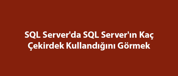 SQL Server'da SQL Server'ın Kaç Çekirdek Kullandığını Görmek